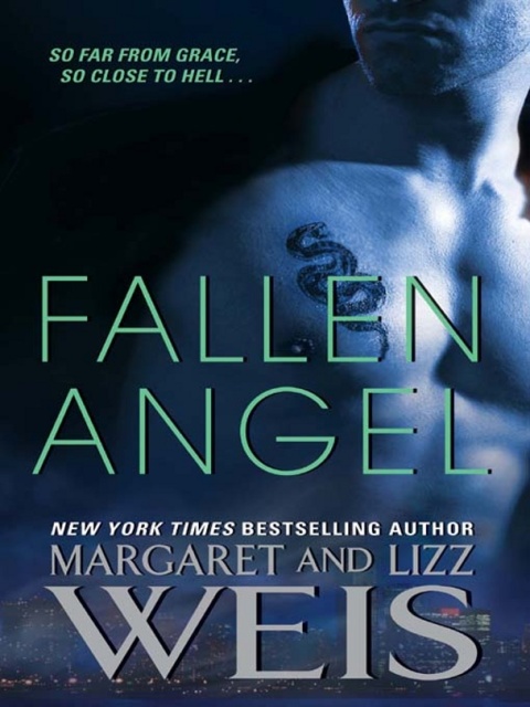 Cover image for book Fallen Angel