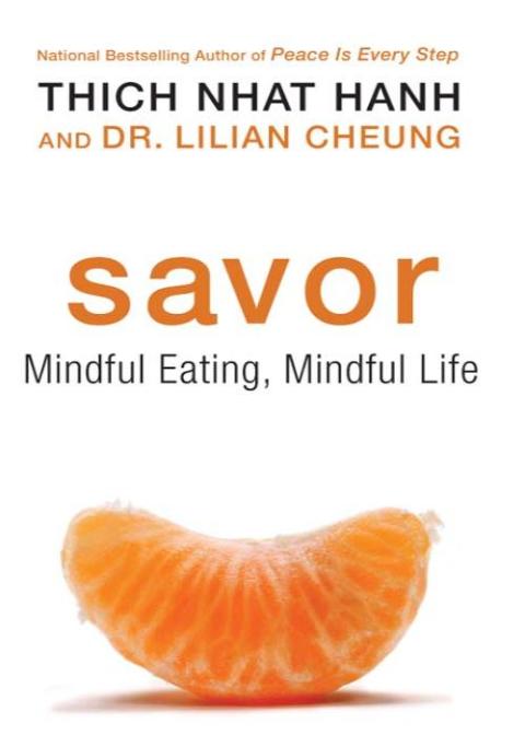 Cover image for book Savor