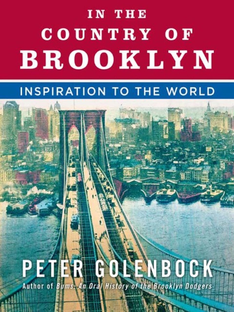 Cover image for book In the Country of Brooklyn
