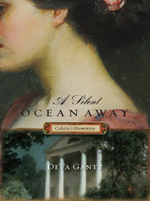 Cover image for book A Silent Ocean