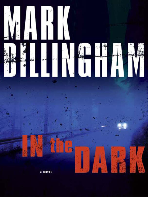 Cover image for book In the Dark
