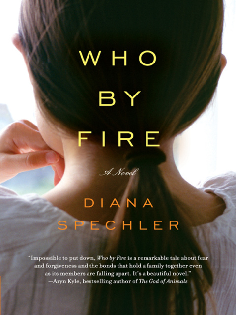 Cover image for book Who by Fire