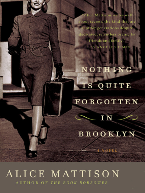 Cover image for book Nothing Is Quite Forgotten in Brooklyn