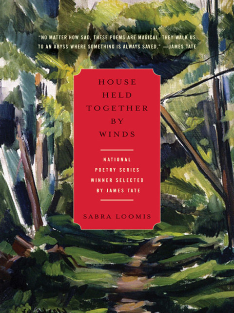 Cover image for book House Held Together by Winds