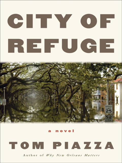 Cover image for book City of Refuge