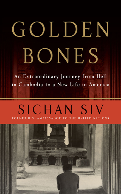Cover image for book Golden Bones