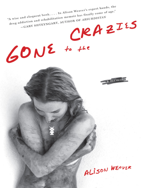 Cover image for book Gone to the Crazies