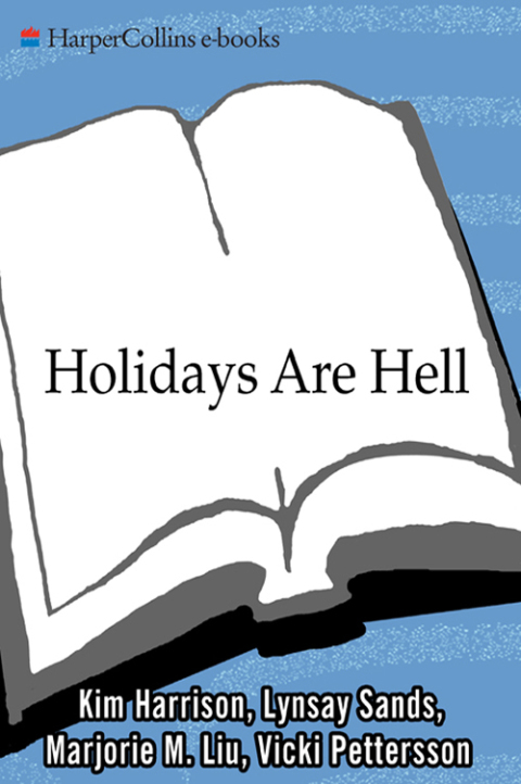 Cover image for book Holidays Are Hell