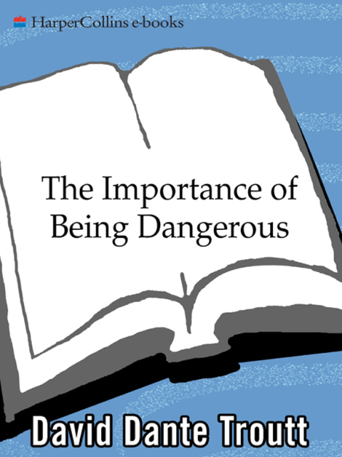 Cover image for book The Importance of Being Dangerous