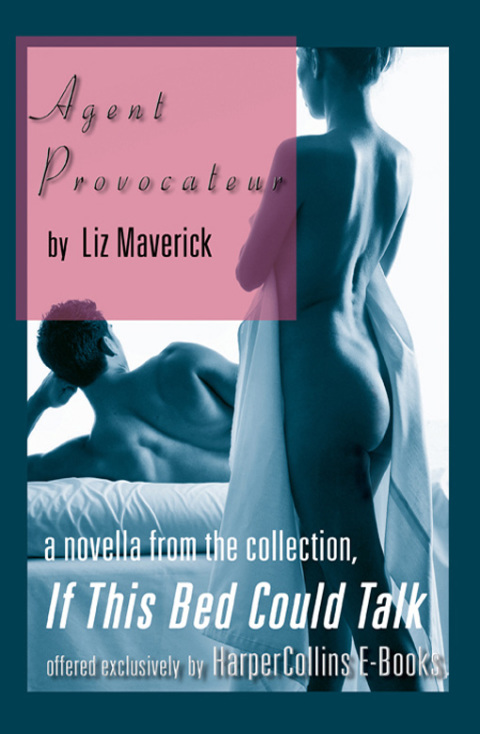 Cover image for book Agent Provocateur