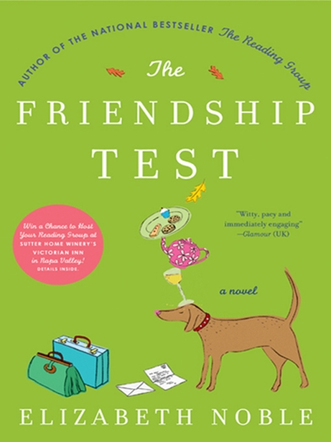 Cover image for book The Friendship Test