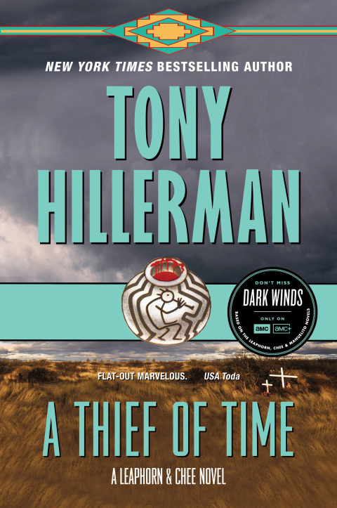 Cover image for book A Thief of Time