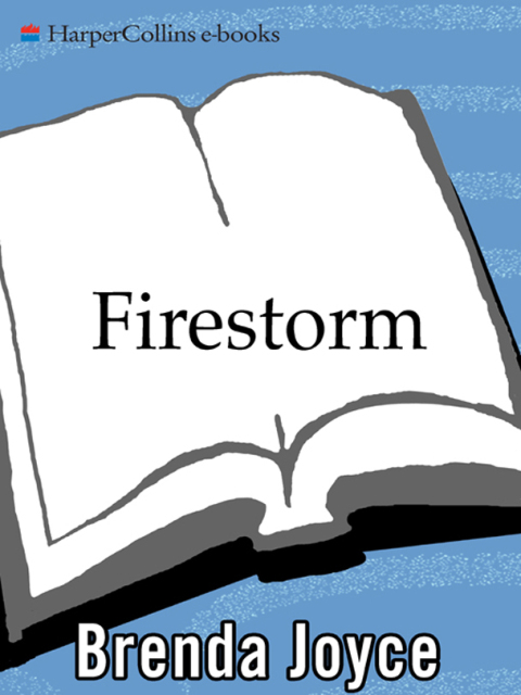 Cover image for book Firestorm