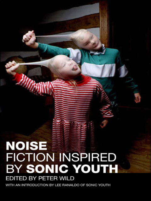 Cover image for book Noise