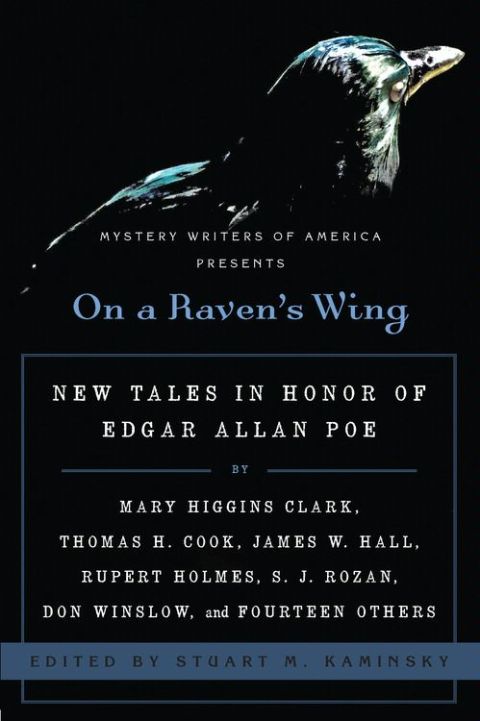 Cover image for book On a Raven's Wing