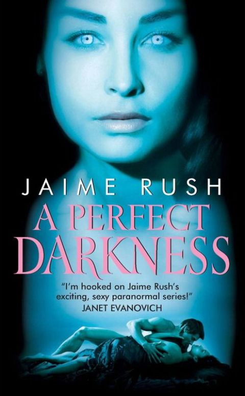 Cover image for book A Perfect Darkness