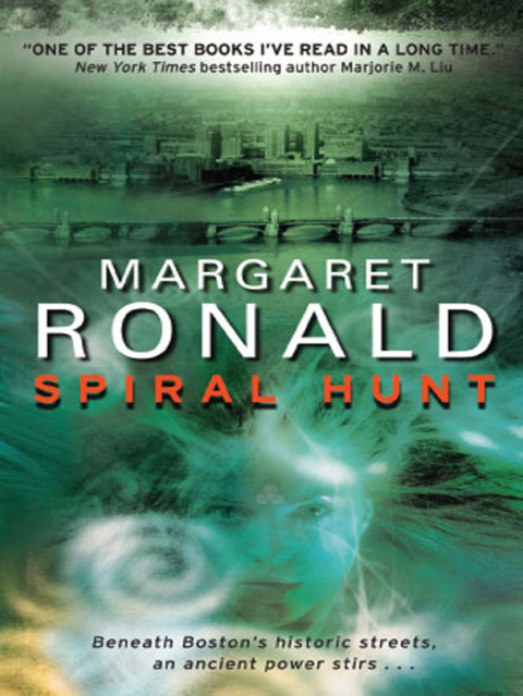 Cover image for book Spiral Hunt