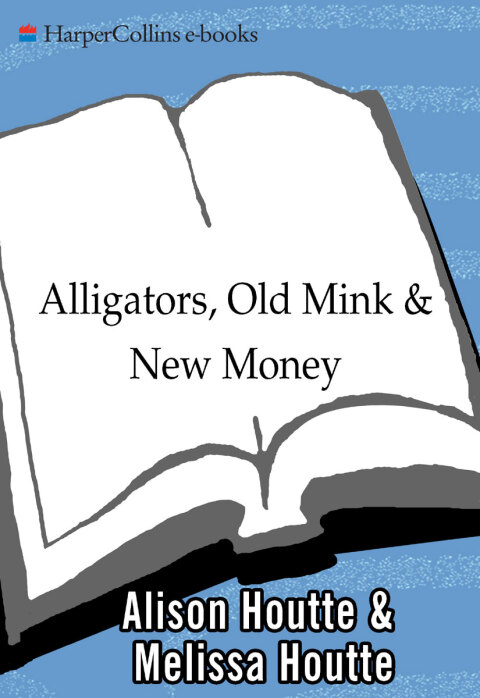 Cover image for book Alligators, Old Mink & New Money