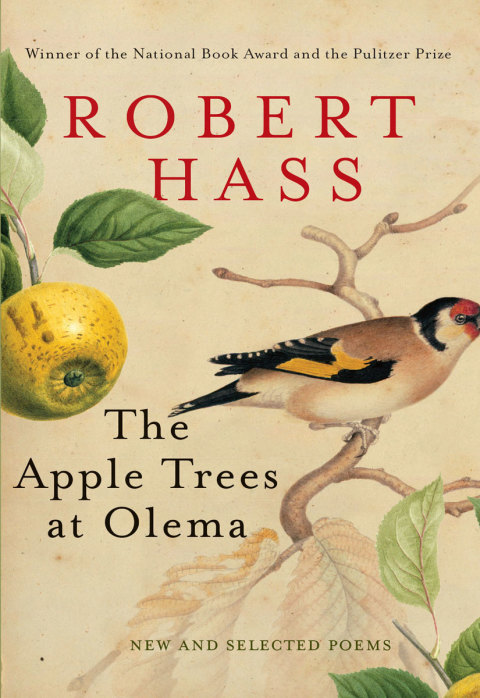 Cover image for book The Apple Trees at Olema