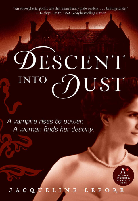 Cover image for book Descent into Dust