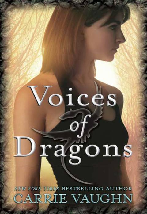 Cover image for book Voices of Dragons