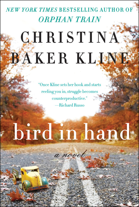 Cover image for book Bird in Hand