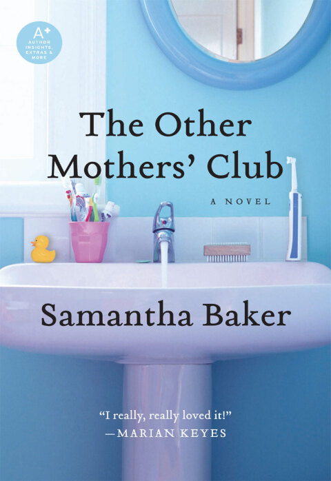 Cover image for book The Other Mothers' Club