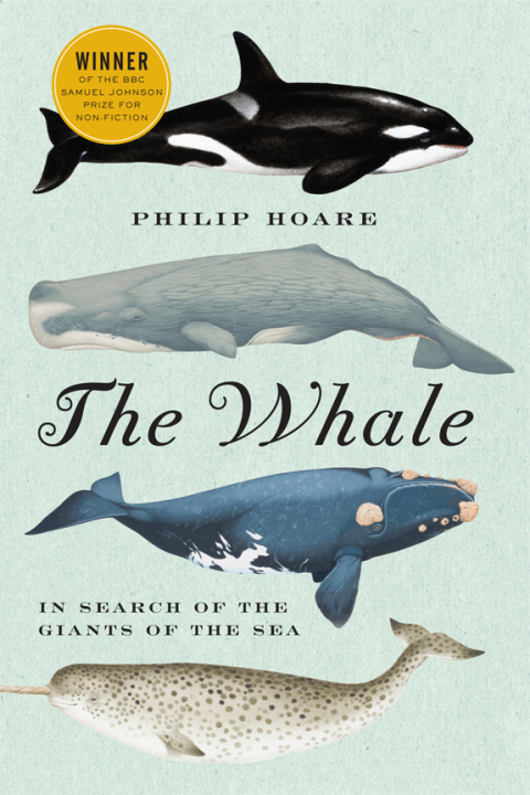 Cover image for book The Whale