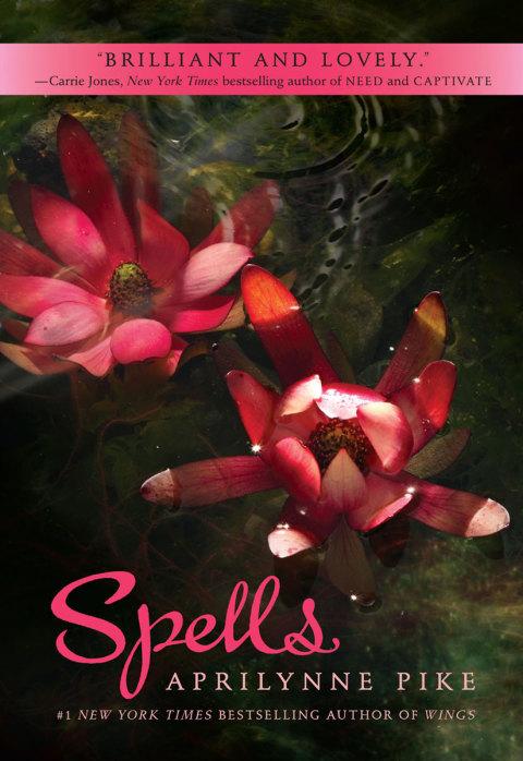 Cover image for book Spells