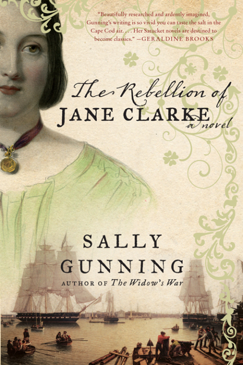 Cover image for book The Rebellion of Jane Clarke