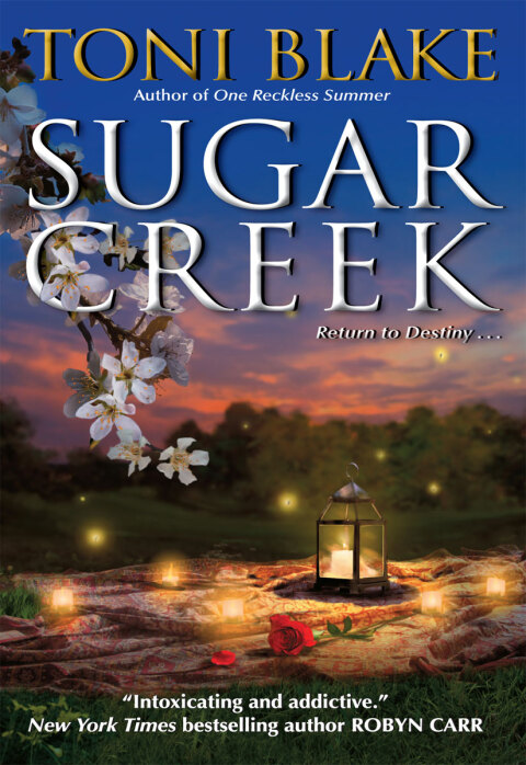 Cover image for book Sugar Creek