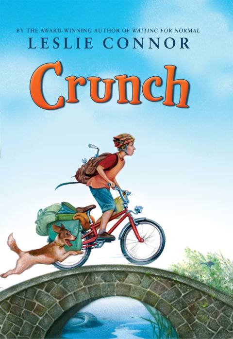 Cover image for book Crunch