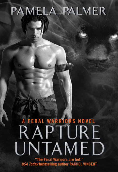 Cover image for book Rapture Untamed