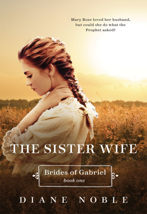 Cover image for book The Sister Wife
