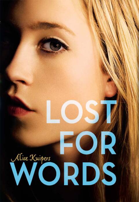 Cover image for book Lost for Words