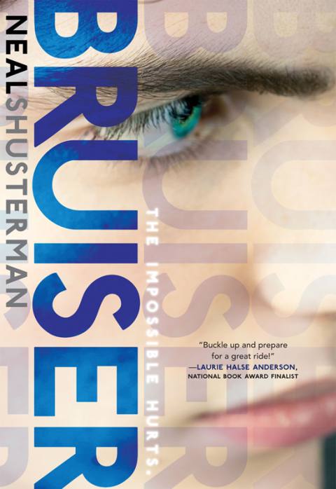 Cover image for book Bruiser