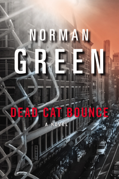 Cover image for book Dead Cat Bounce