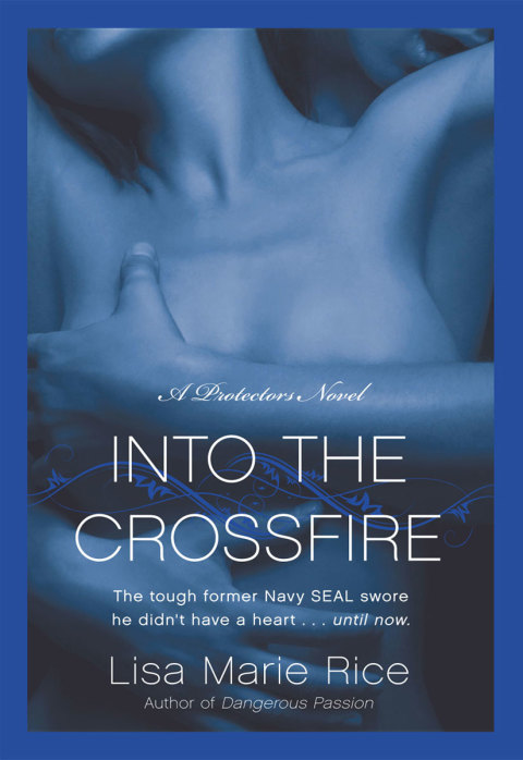 Cover image for book Into the Crossfire