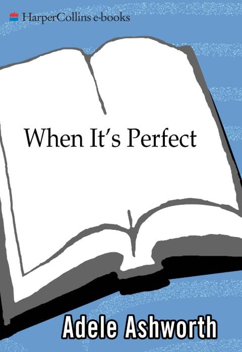 Cover image for book When It's Perfect