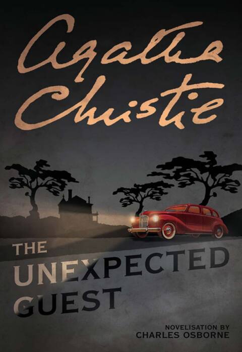 Cover image for book The Unexpected Guest