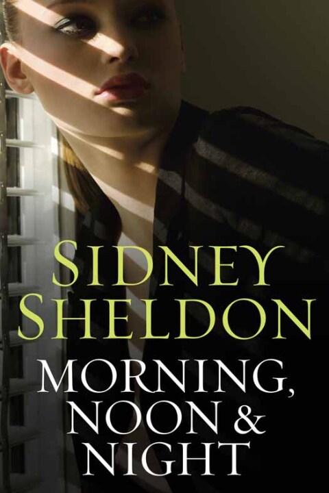 Cover image for book Morning Noon & Night