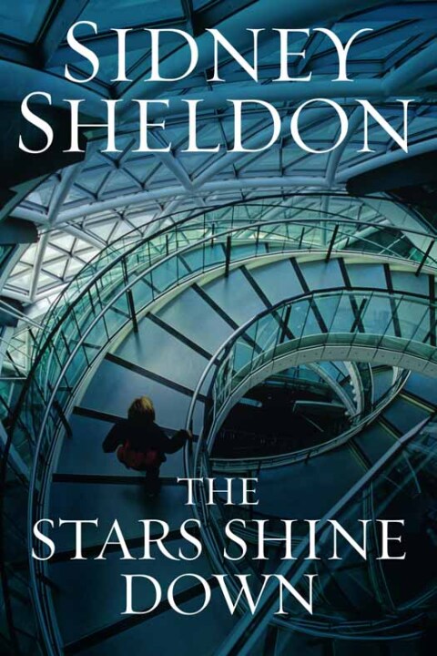 Cover image for book The Stars Shine Down