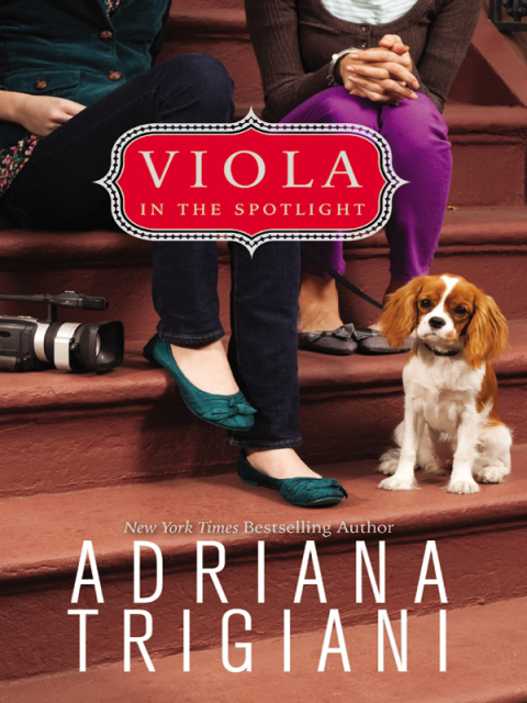 Cover image for book Viola in the Spotlight