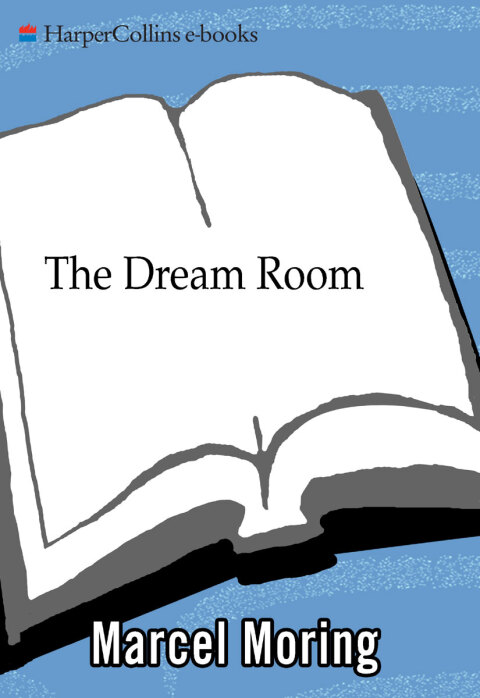 Cover image for book The Dream Room