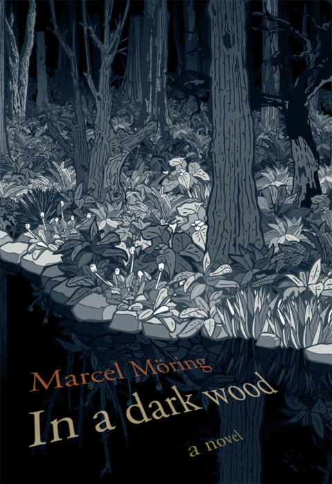 Cover image for book In a Dark Wood