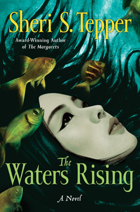Cover image for book The Waters Rising