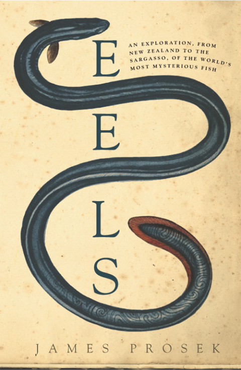 Cover image for book Eels
