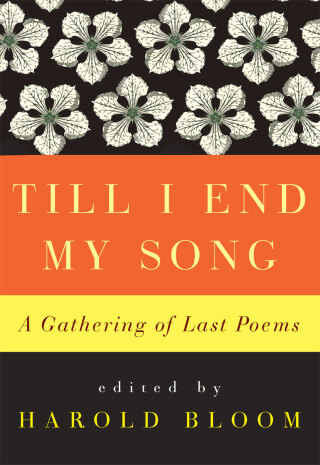 Till I End My Song