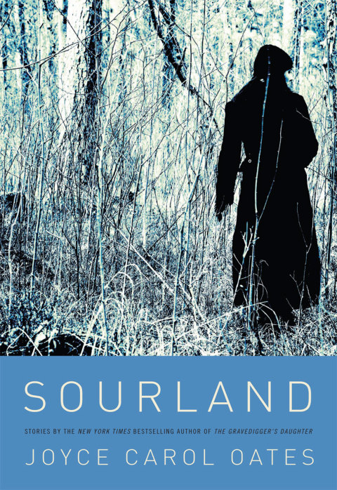 Cover image for book Sourland