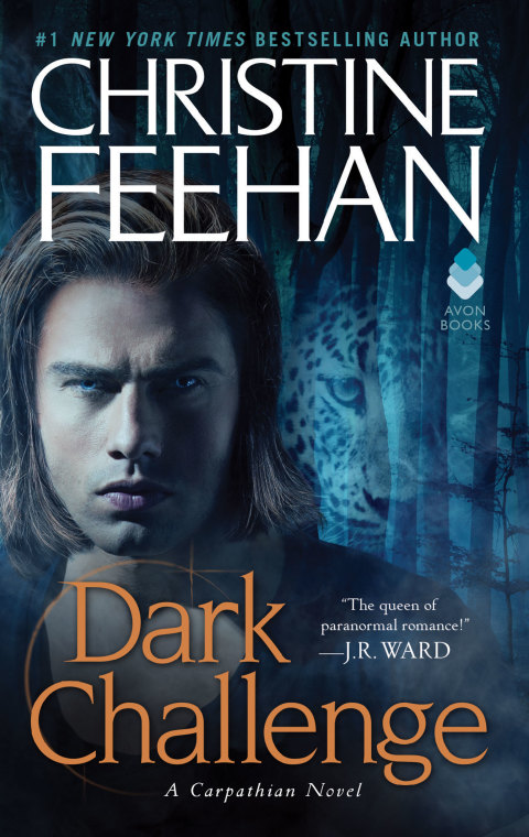 Cover image for book Dark Challenge